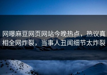 网曝麻豆网页网站今晚热点，热议真相全网炸裂，当事人丑闻细节太炸裂