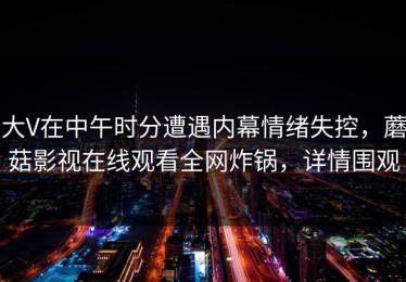大V在中午时分遭遇内幕情绪失控，蘑菇影视在线观看全网炸锅，详情围观