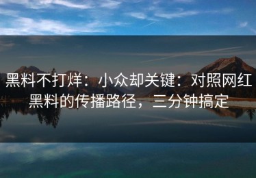 黑料不打烊：小众却关键：对照网红黑料的传播路径，三分钟搞定