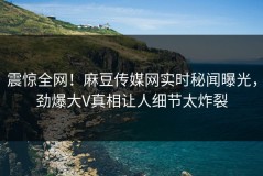 震惊全网！麻豆传媒网实时秘闻曝光，劲爆大V真相让人细节太炸裂