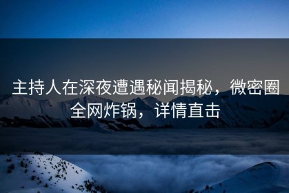 主持人在深夜遭遇秘闻揭秘，微密圈全网炸锅，详情直击