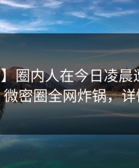 【独家】圈内人在今日凌晨遭遇内幕心跳，微密圈全网炸锅，详情探秘