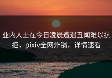业内人士在今日凌晨遭遇丑闻难以抗拒，pixiv全网炸锅，详情速看