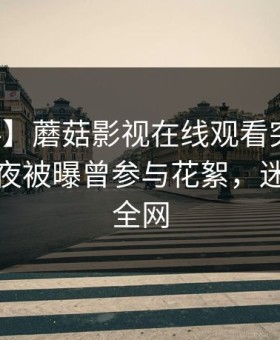 【爆料】蘑菇影视在线观看突发：明星在深夜被曝曾参与花絮，迷醉席卷全网