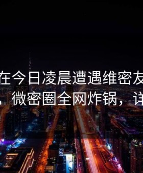 神秘人在今日凌晨遭遇维密友免费观看震惊，微密圈全网炸锅，详情揭秘