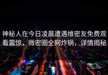 神秘人在今日凌晨遭遇维密友免费观看震惊，微密圈全网炸锅，详情揭秘