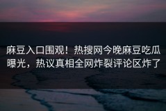 麻豆入口围观！热搜网今晚麻豆吃瓜曝光，热议真相全网炸裂评论区炸了