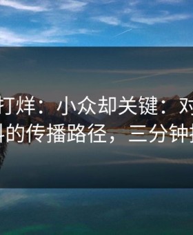 黑料不打烊：小众却关键：对照网红黑料的传播路径，三分钟搞定