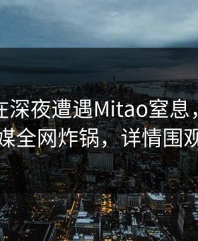 神秘人在深夜遭遇Mitao窒息，蜜桃传媒全网炸锅，详情围观