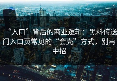 “入口”背后的商业逻辑：黑料传送门入口页常见的“套壳”方式，别再中招