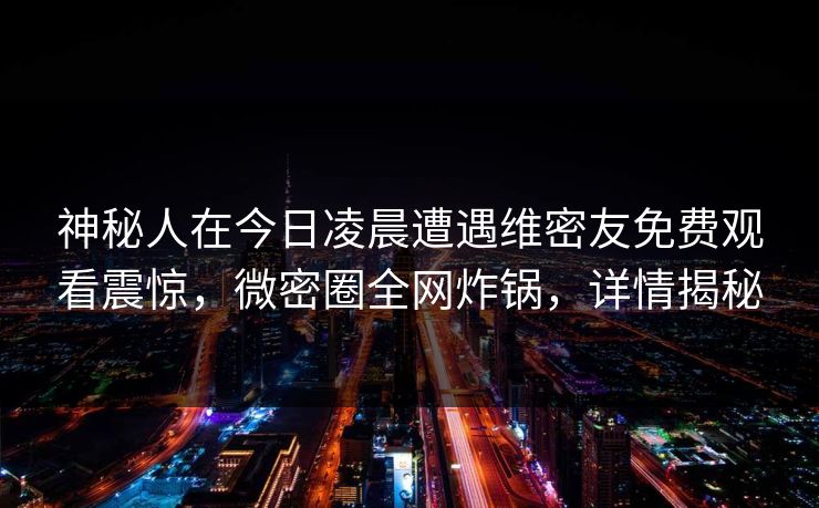 神秘人在今日凌晨遭遇维密友免费观看震惊，微密圈全网炸锅，详情揭秘